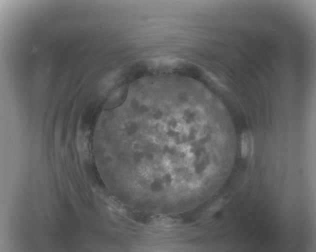 X0000082171059200701262354