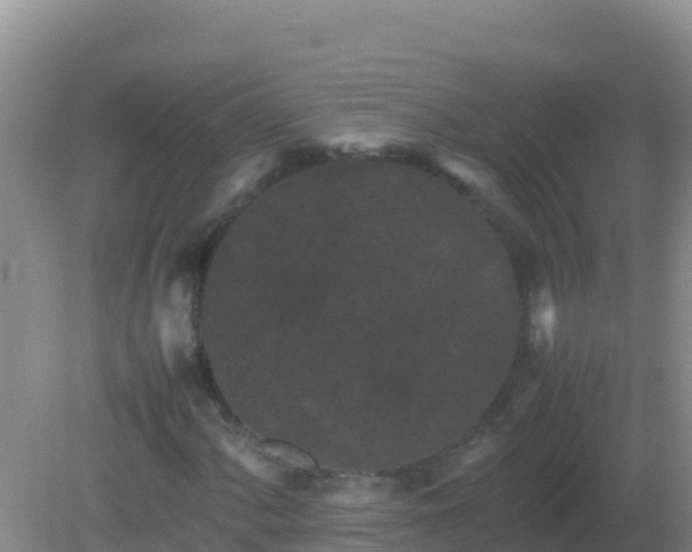 X0000082171060200701262354