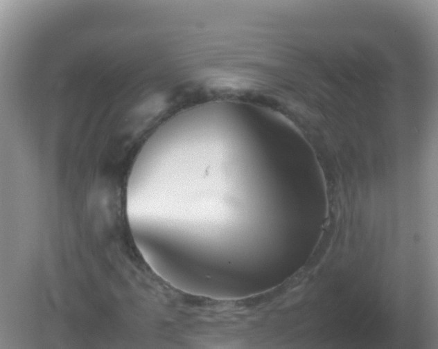 X0000082171061200701262354