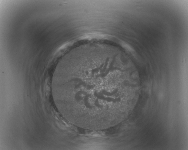 X0000082171063200701262354