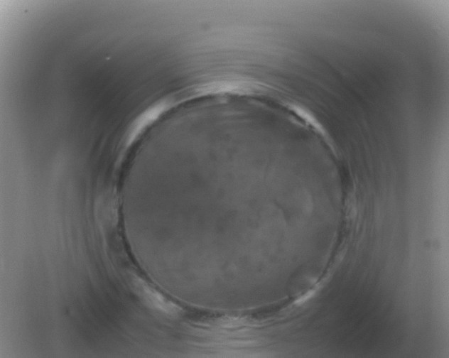 X0000082171067200701262354