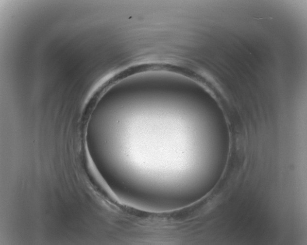 X0000082171069200701262354