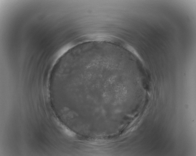 X0000082171071200701262354