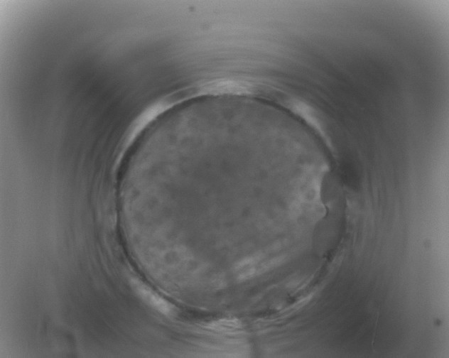 X0000082171075200701262354