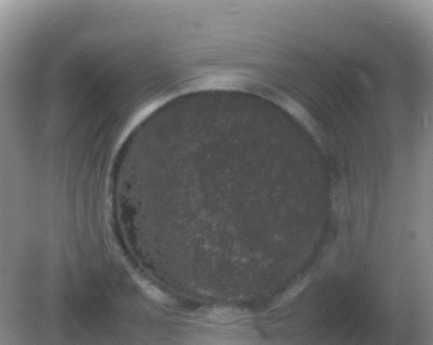 X0000082171077200701262354