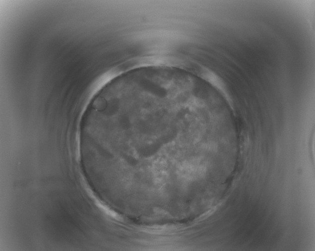 X0000082171079200701262354