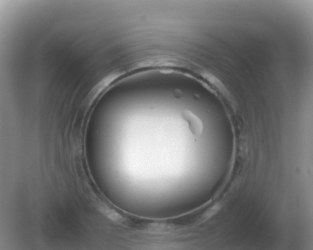 X0000082171081200701262354