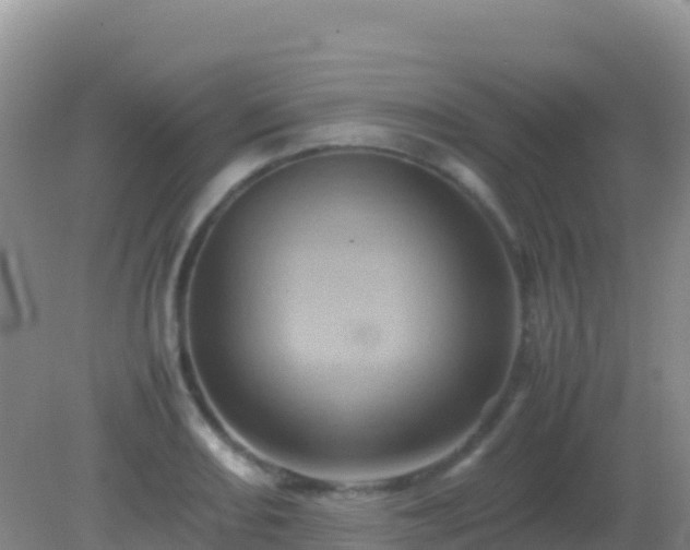 X0000082171082200701262354