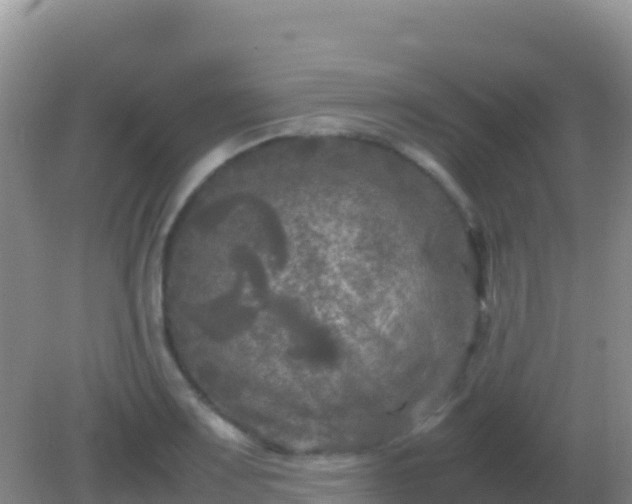 X0000082171083200701262354