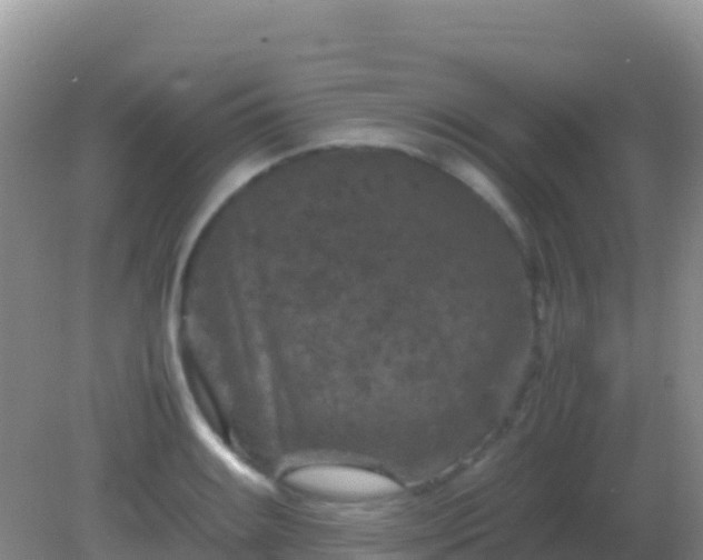 X0000082171084200701262354