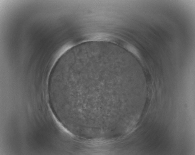 X0000082171087200701262354