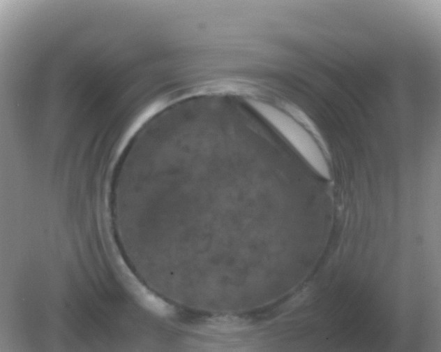 X0000082171091200701262354