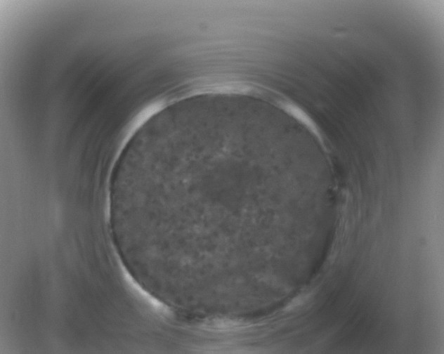 X0000082171095200701262354