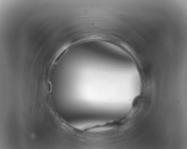 X0000082171097200701262353