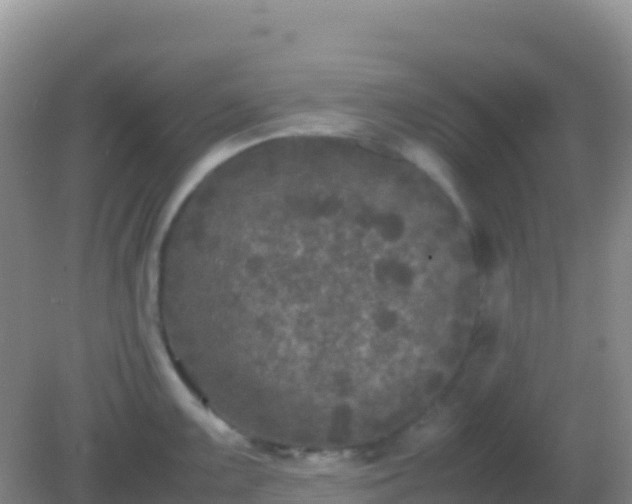 X0000082171099200701262353