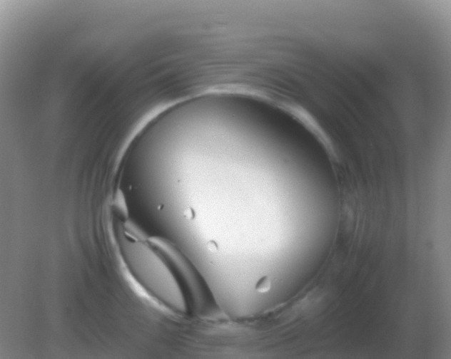 X0000082171100200701262353