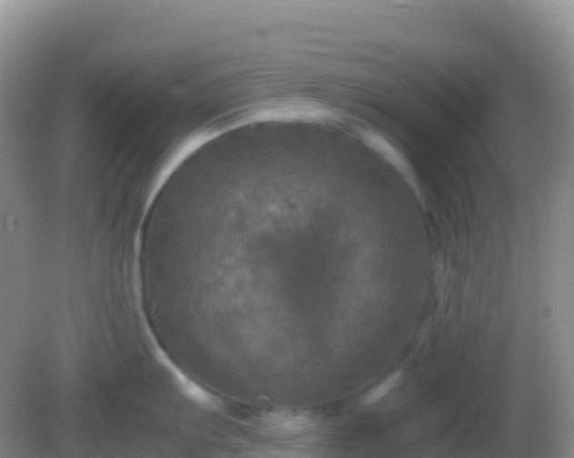 X0000082171103200701262353