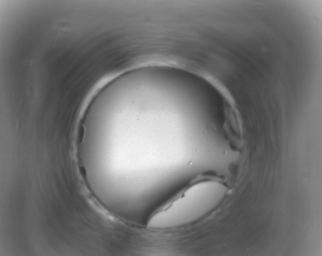 X0000082171104200701262353