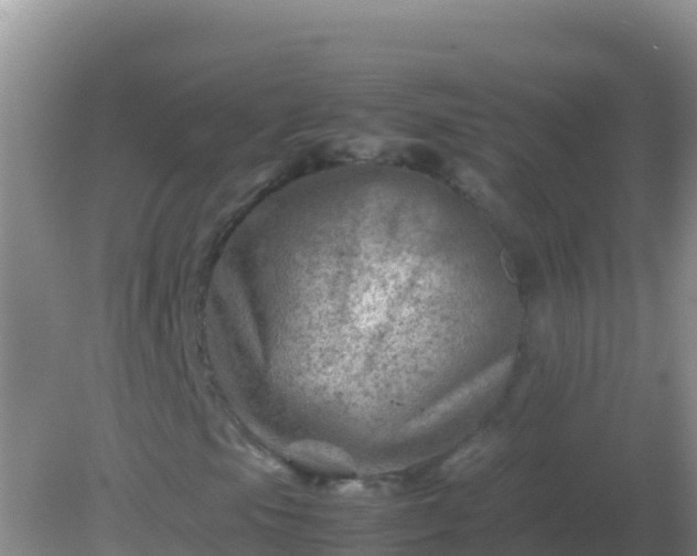 X0000082171105200701262353