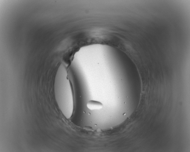 X0000082171109200701262353