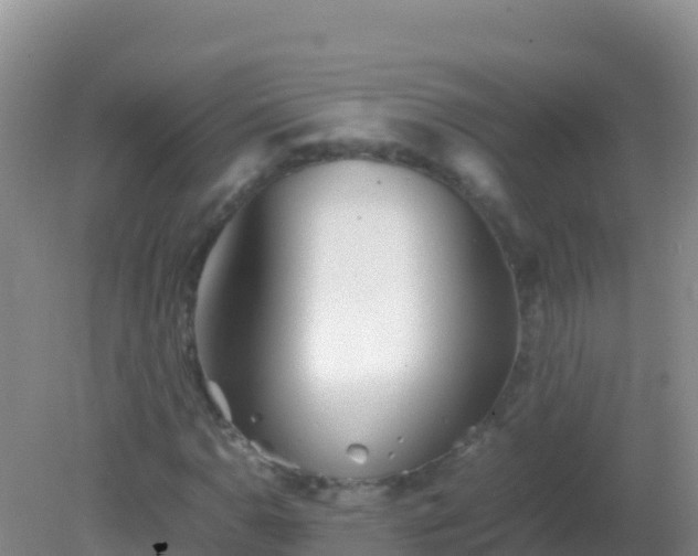 X0000082171110200701262353