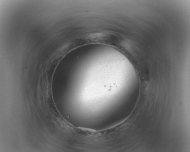 X0000082171111200701262353