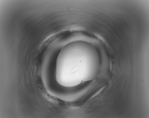 X0000082171112200701262353