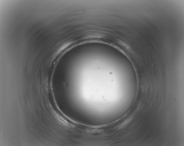 X0000082171113200701262353