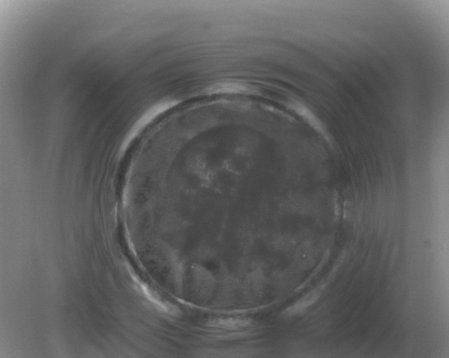 X0000082171117200701262353