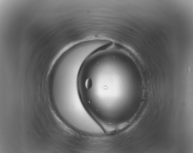 X0000082171118200701262353