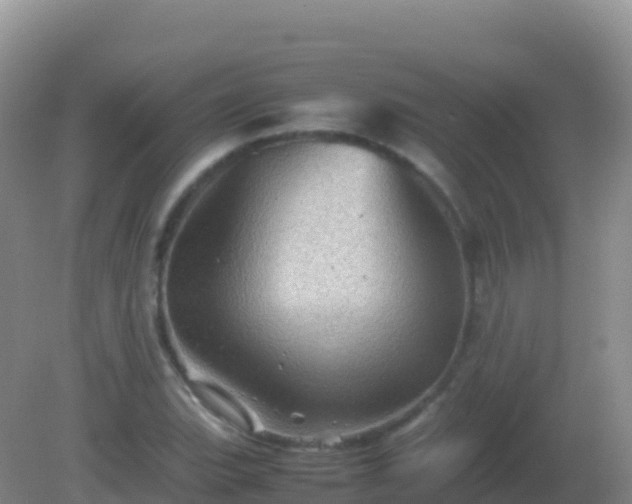 X0000082171119200701262353