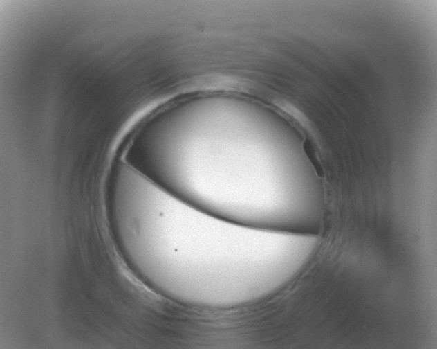 X0000082171120200701262353