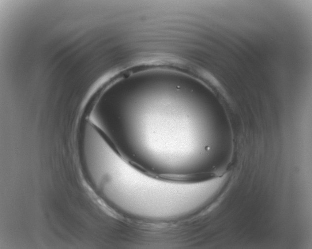 X0000082171122200701262353