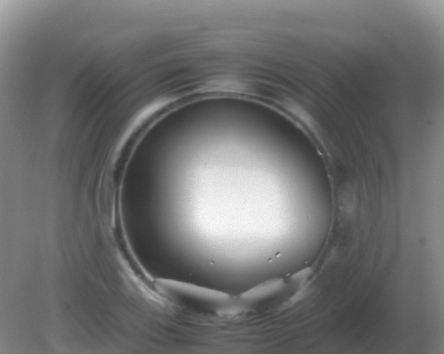 X0000082171123200701262353