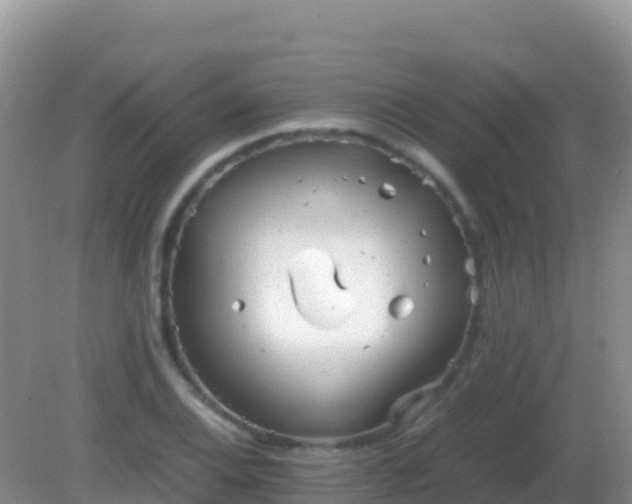 X0000082171124200701262353