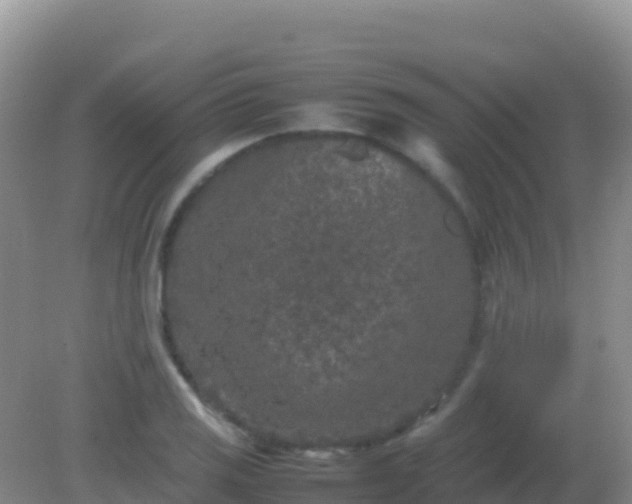 X0000082171125200701262353