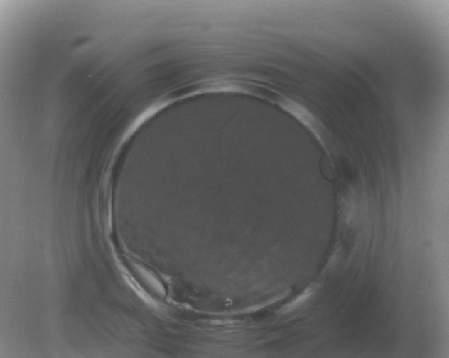 X0000082171127200701262353