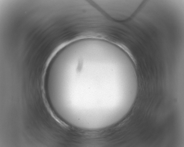 X0000082171128200701262353