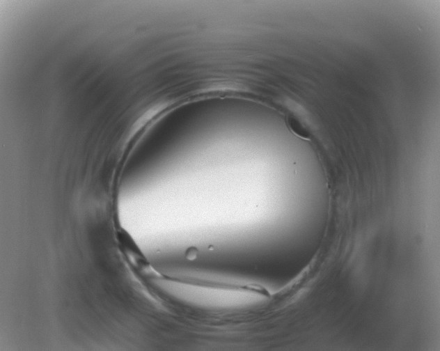 X0000082171129200701262353