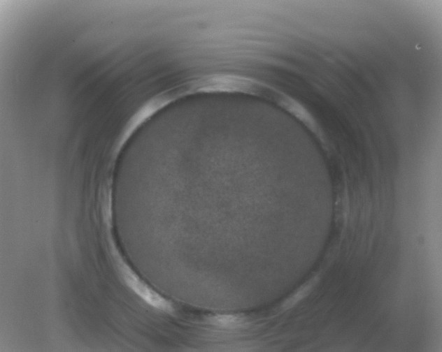 X0000082171130200701262353