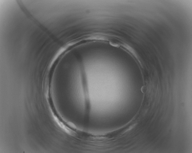 X0000082171131200701262353