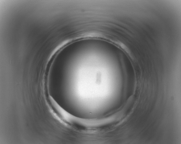 X0000082171134200701262353