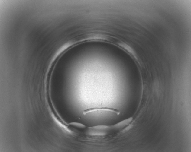 X0000082171135200701262353