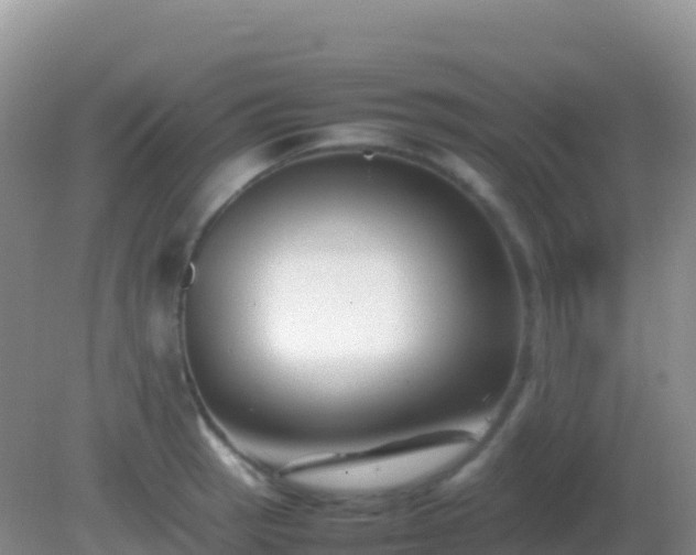 X0000082171137200701262353