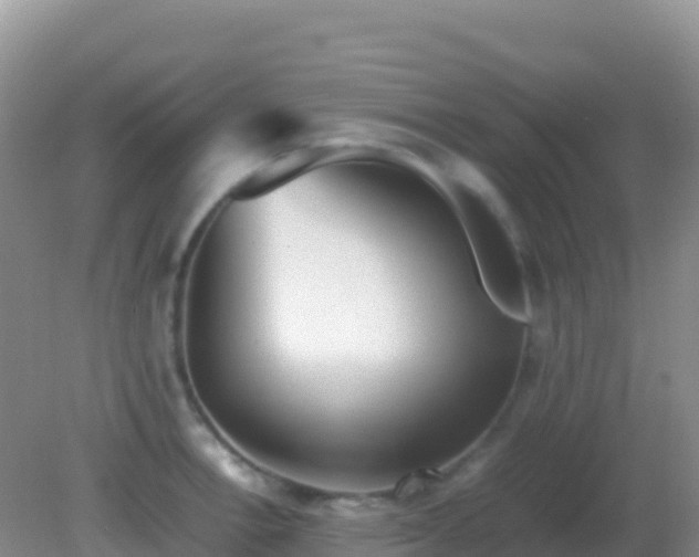 X0000082171138200701262353