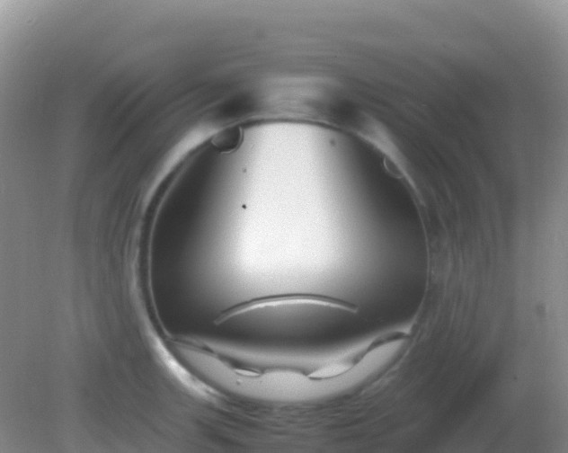 X0000082171139200701262353