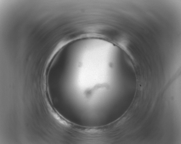 X0000082171140200701262353