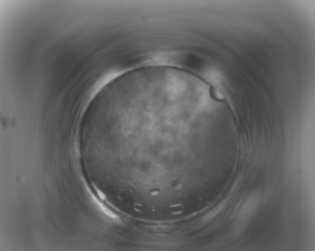 X0000082171141200701262353