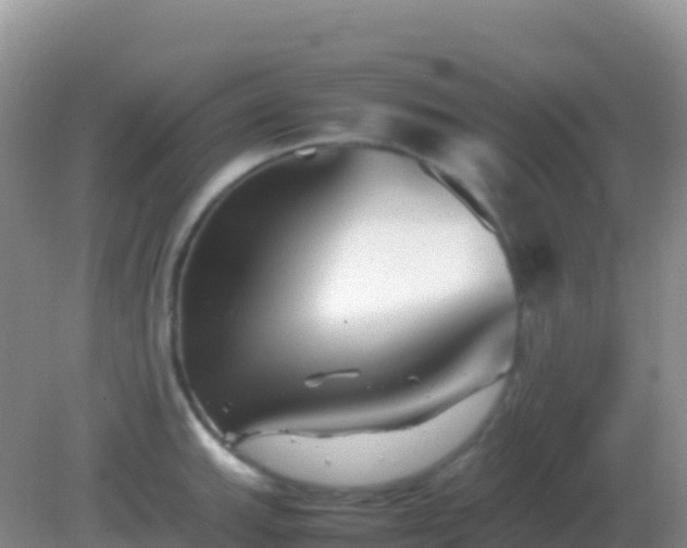 X0000082171143200701262353