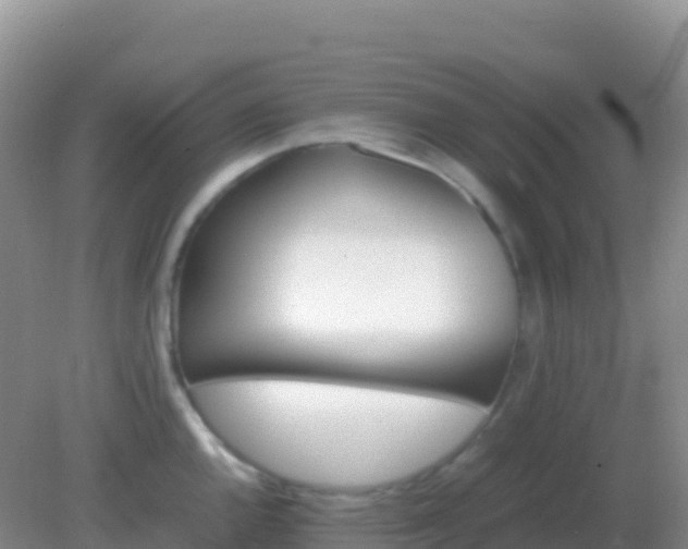 X0000082171144200701262353